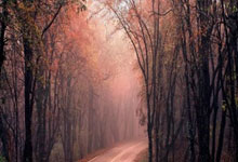 K1体育：中国民族民间跳绳发展高峰论坛在济南举行.