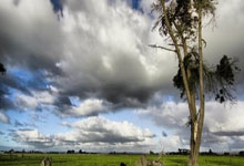 K1体育：1射2传定胜局，内马尔社媒发文：踢足球是我最大的快乐🤍🖤.