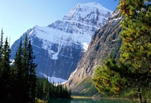 [流言板]体图：森林对穆里略要价对标格瓦；利物浦愿8000万买桑切特10亮27回复.